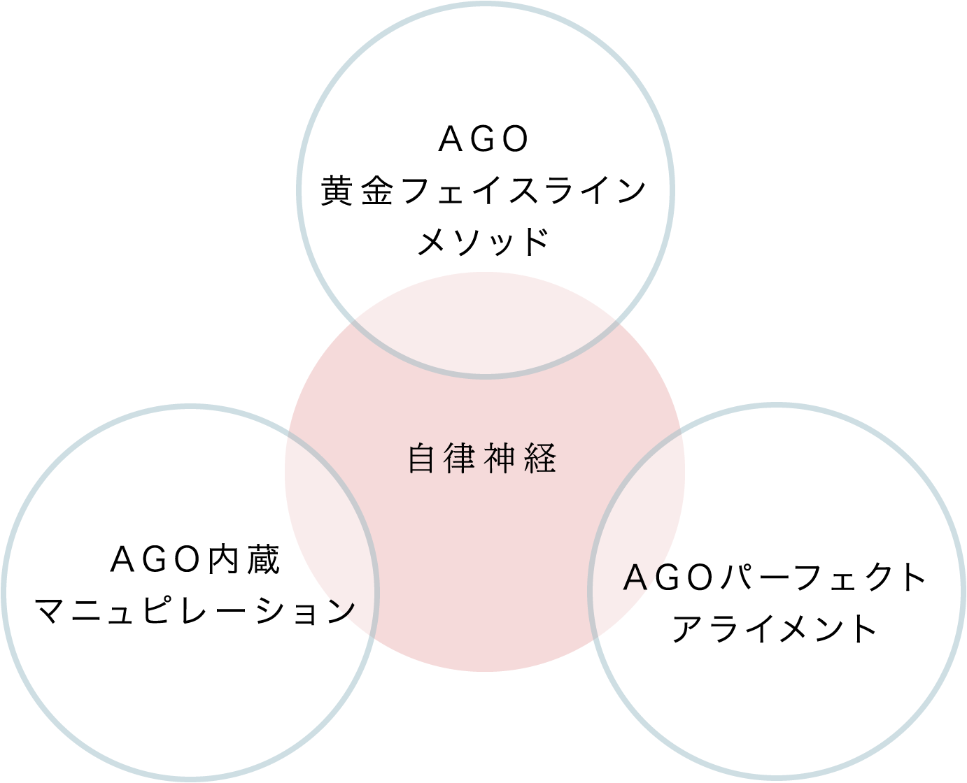 自律神経 AGO黄金フェイスラインメソッド・AGO内蔵マニュピレーション・AGOパーフェクトアライメント