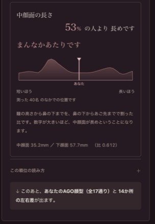 中顔面の順位